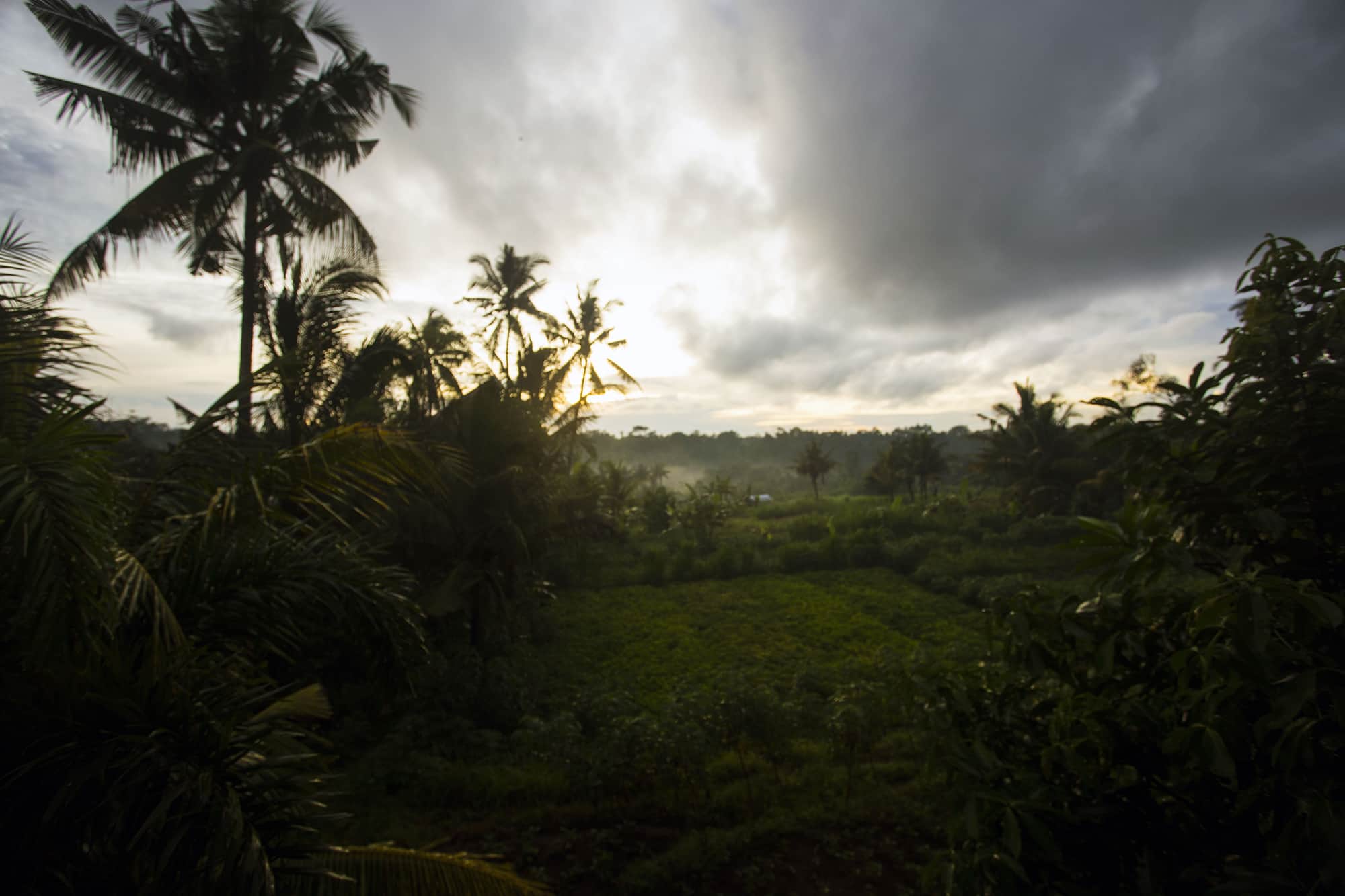 Early morning Bongkasa, Bali