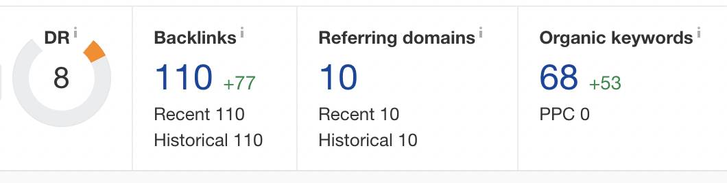 Niche website SEO stats